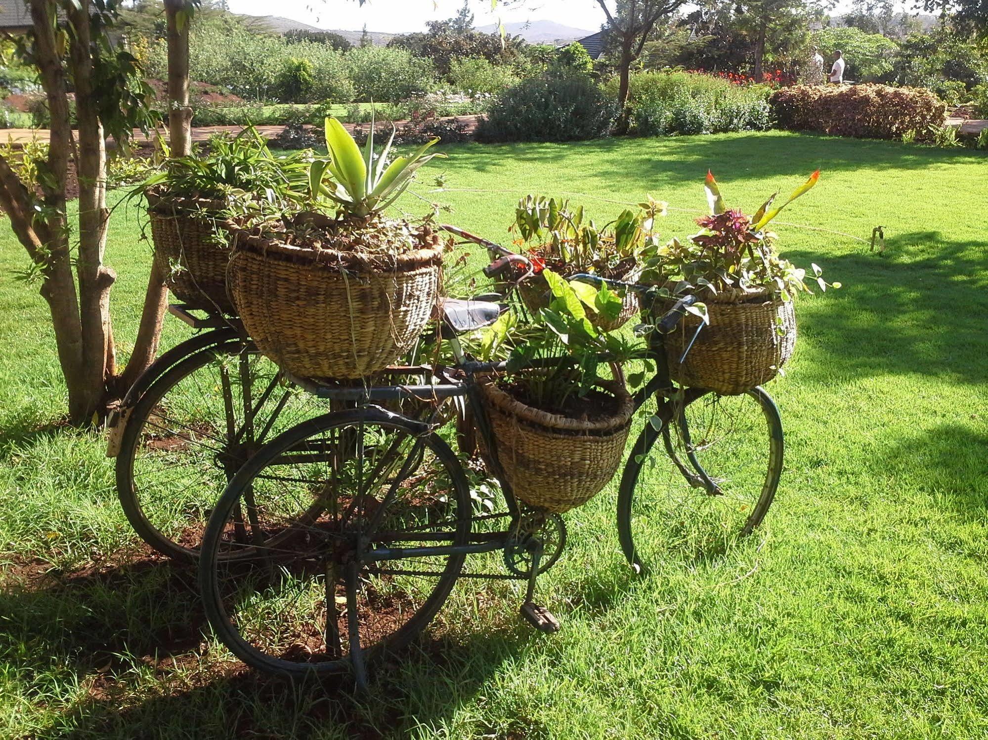 Acacia Farm Lodge Ngorongoro Exteriör bild